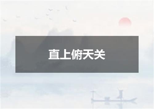 直上俯天关