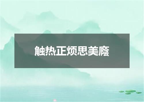 触热正烦思美廕