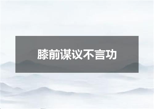 膝前谋议不言功