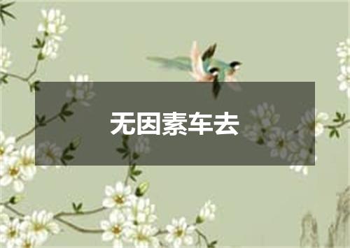 无因素车去