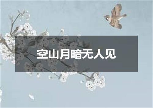 空山月暗无人见