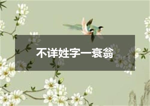 不详姓字一衰翁