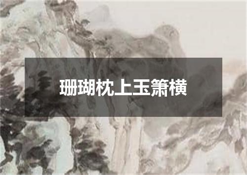 珊瑚枕上玉箫横