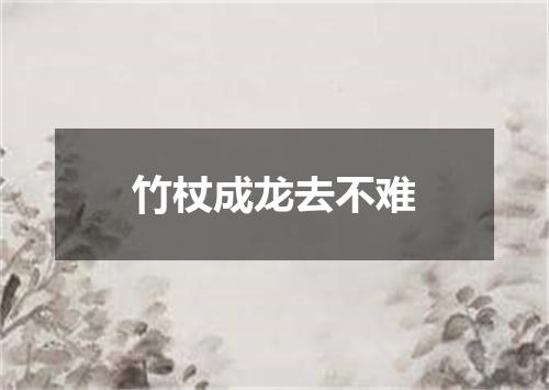 竹杖成龙去不难