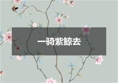一骑紫鲸去
