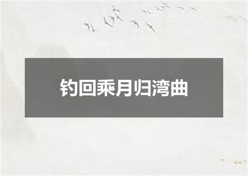 钓回乘月归湾曲