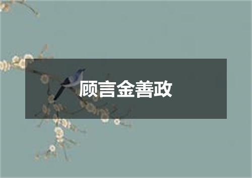 顾言金善政