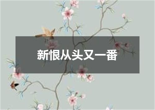 新恨从头又一番