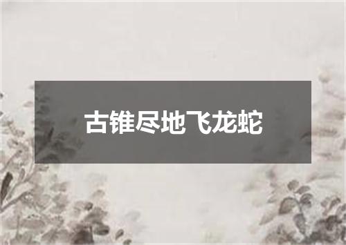 古锥尽地飞龙蛇