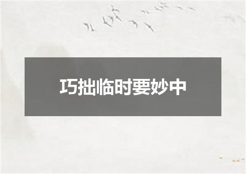 巧拙临时要妙中