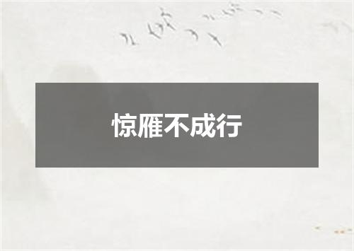 惊雁不成行