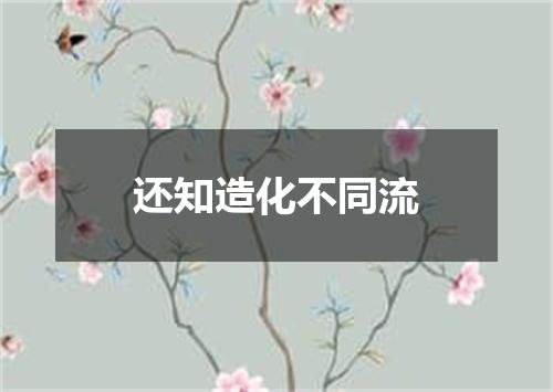 还知造化不同流