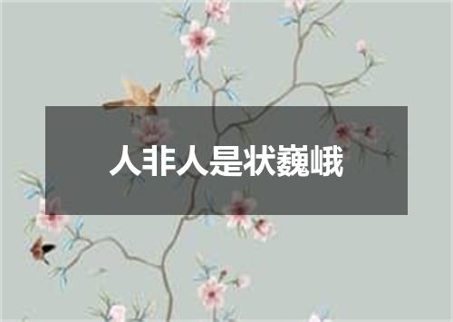 人非人是状巍峨