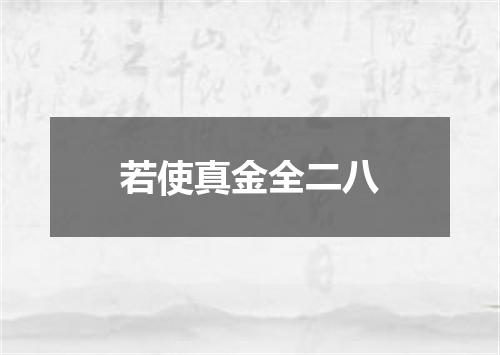 若使真金全二八