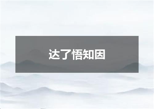 达了悟知因