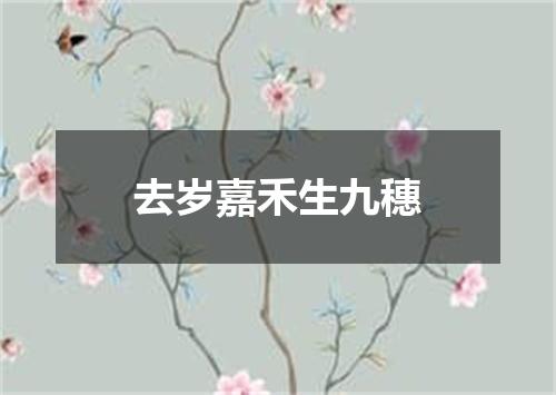 去岁嘉禾生九穗