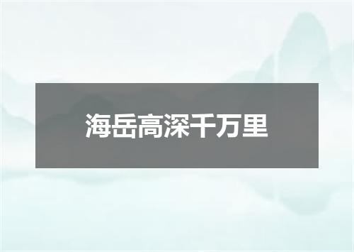 海岳高深千万里