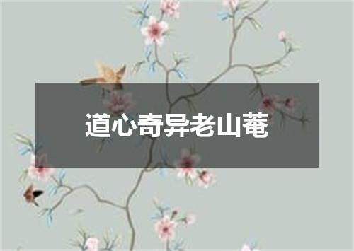 道心奇异老山菴