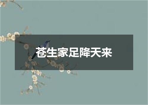 苍生家足降天来