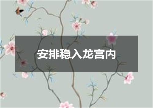 安排稳入龙宫内