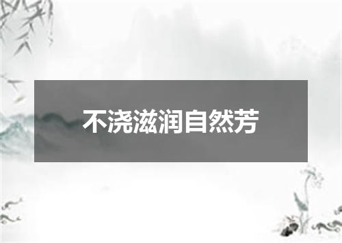 不浇滋润自然芳