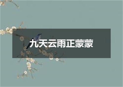 九天云雨正蒙蒙