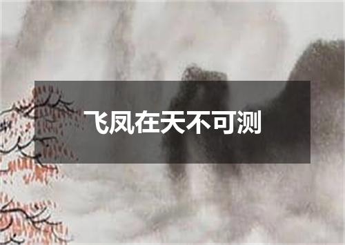 飞凤在天不可测
