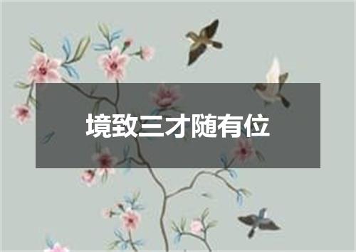 境致三才随有位