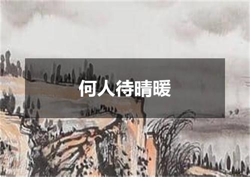 何人待晴暖