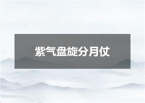 紫气盘旋分月仗