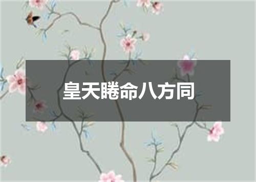 皇天睠命八方同