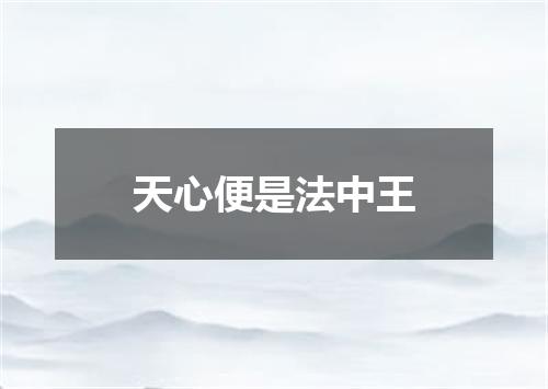 天心便是法中王