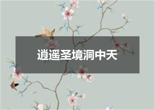 逍遥圣境洞中天