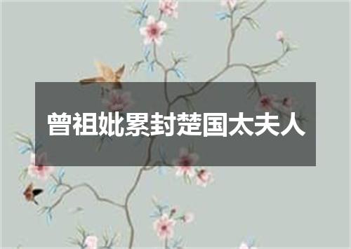 曾祖妣累封楚国太夫人