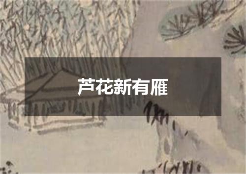 芦花新有雁