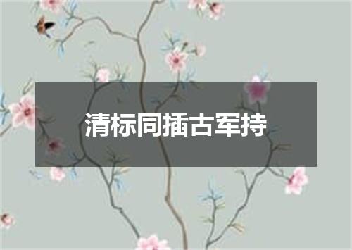 清标同插古军持