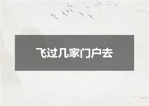 飞过几家门户去