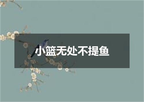 小篮无处不提鱼