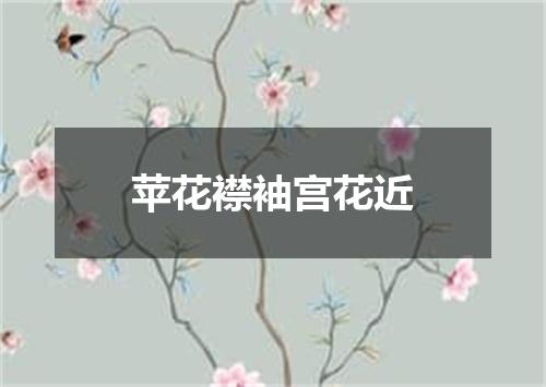 苹花襟袖宫花近