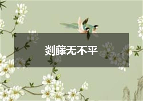 剡藤无不平