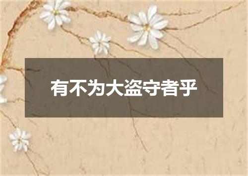 有不为大盗守者乎