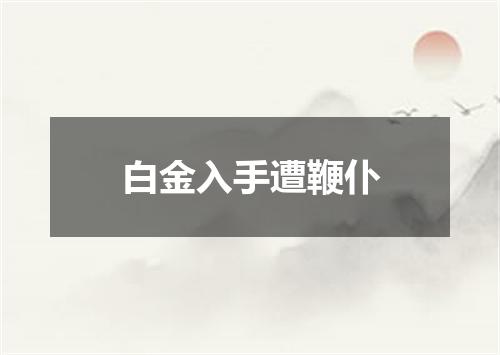 白金入手遭鞭仆