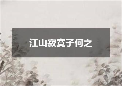 江山寂寞子何之