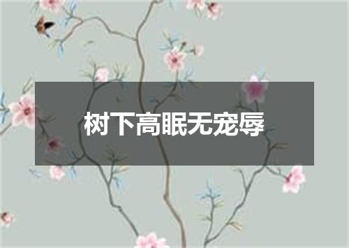 树下高眠无宠辱