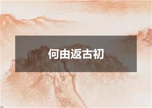 何由返古初