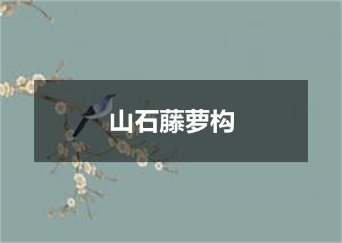 山石藤萝构