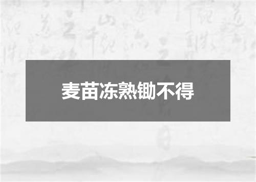 麦苗冻熟锄不得
