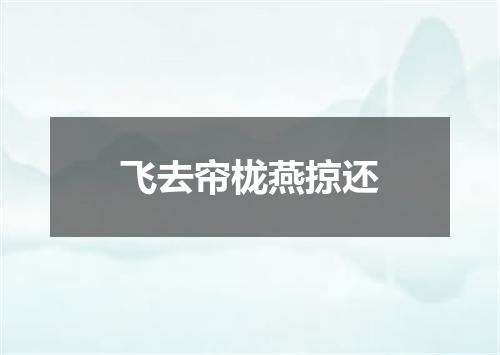 飞去帘栊燕掠还