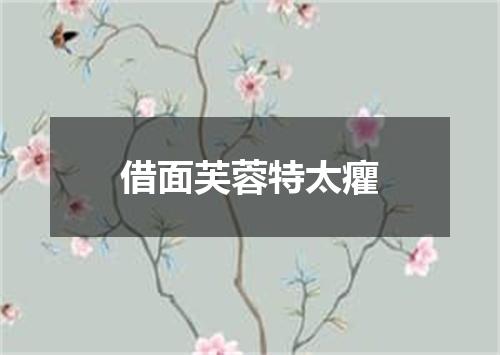借面芙蓉特太癯