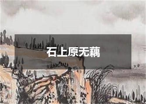 石上原无藕